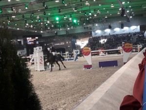 Na zawodach skokowych